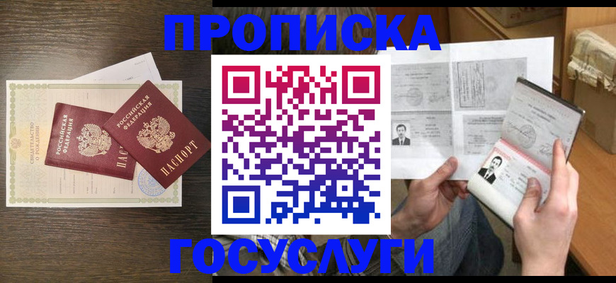 прописка поиск в Купино
