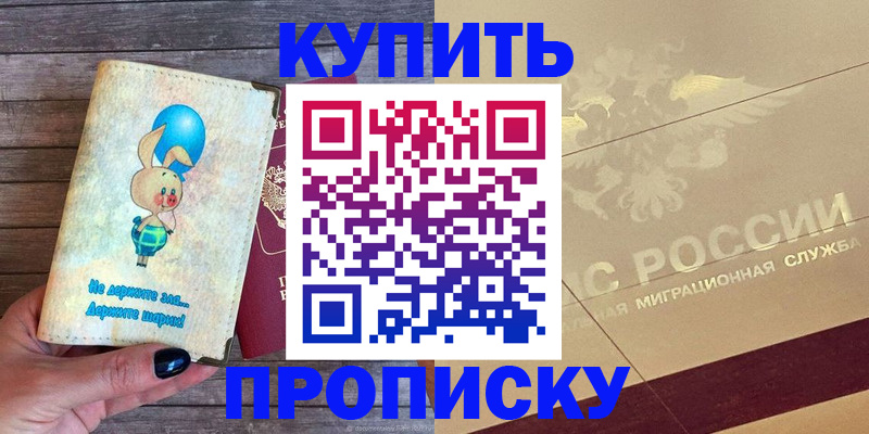 прописка поиск в Купино